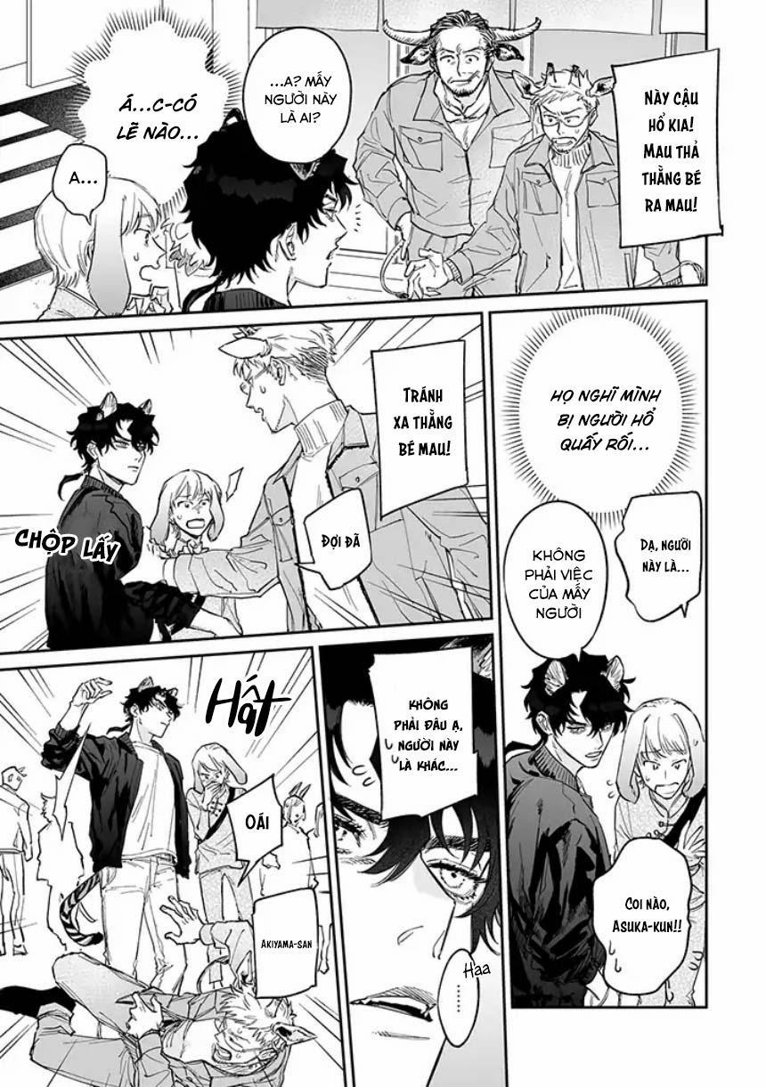 Tiger Bunny 2.1 trang 9