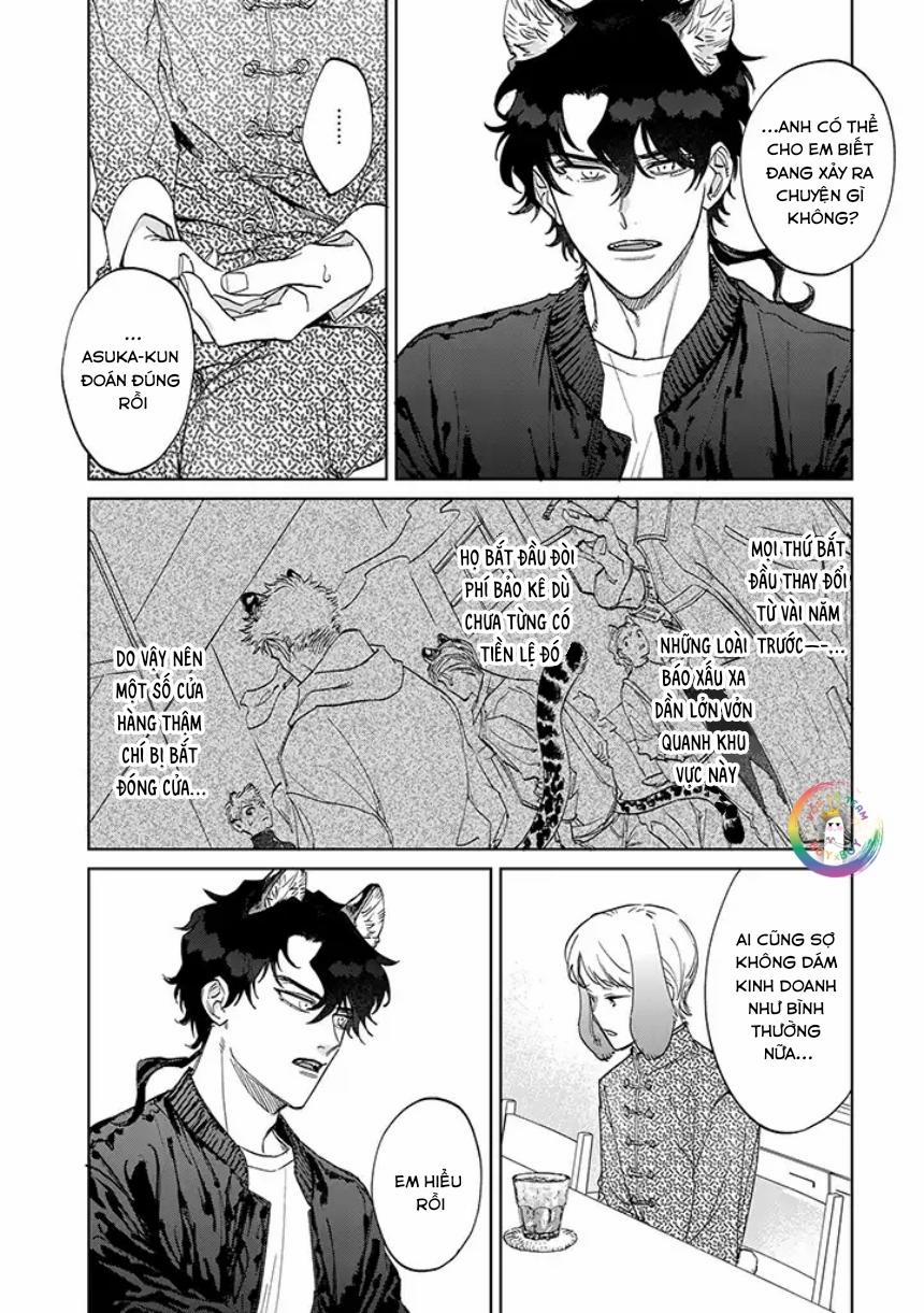 Tiger Bunny 3.1 trang 3