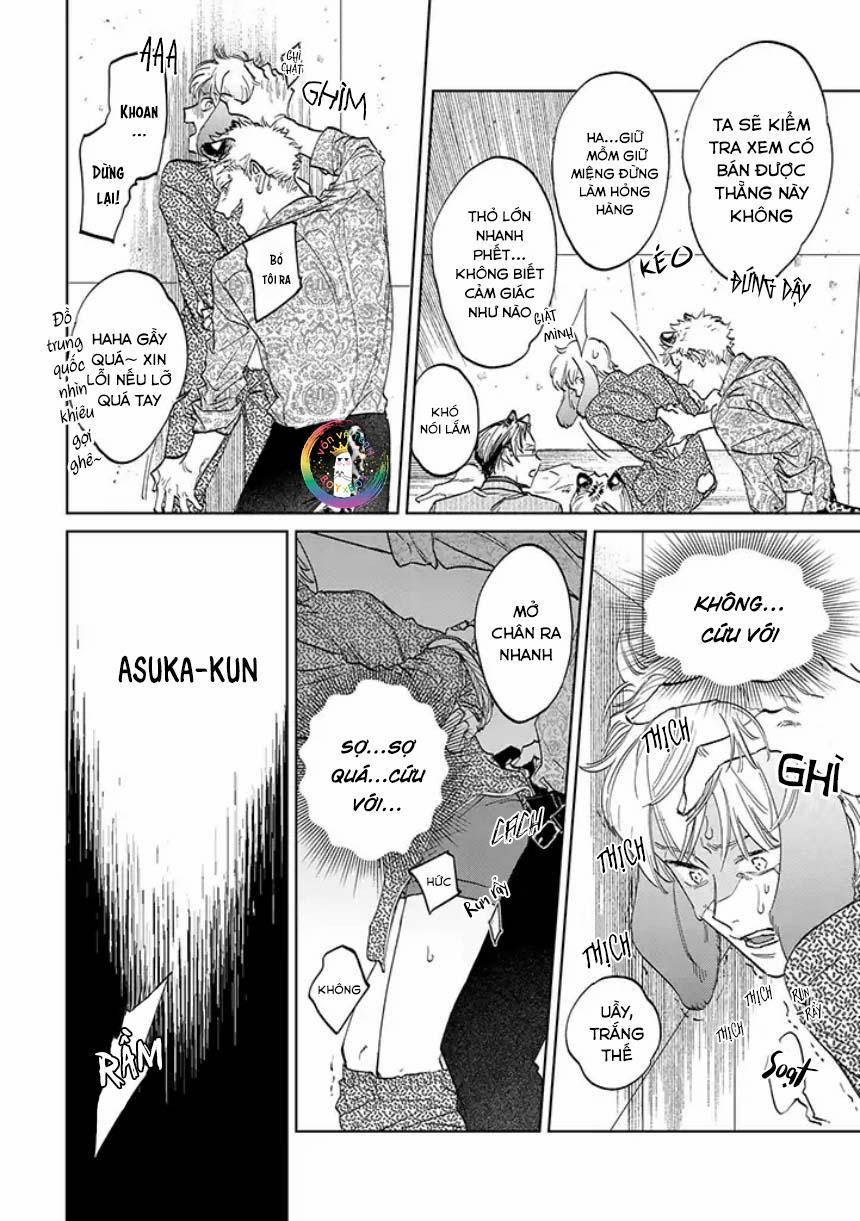 Tiger Bunny 3.2 trang 13