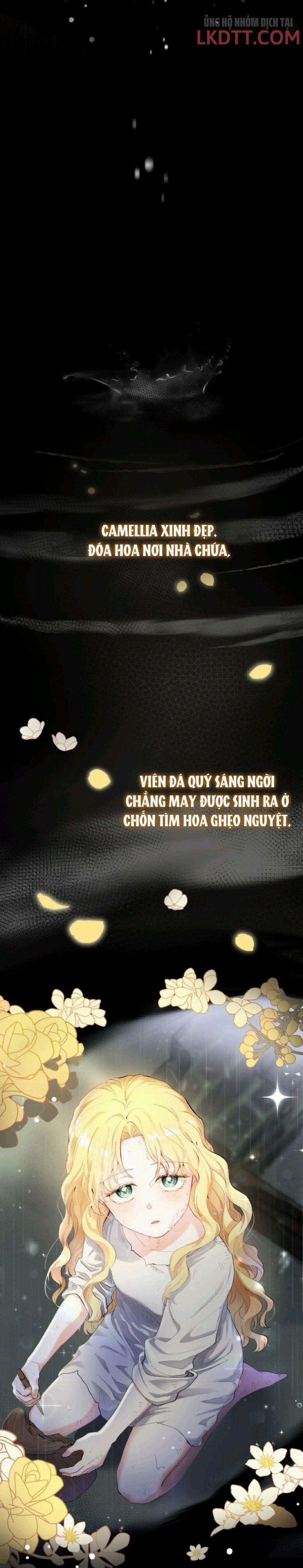 Tìm Lại Camellia 0 trang 6