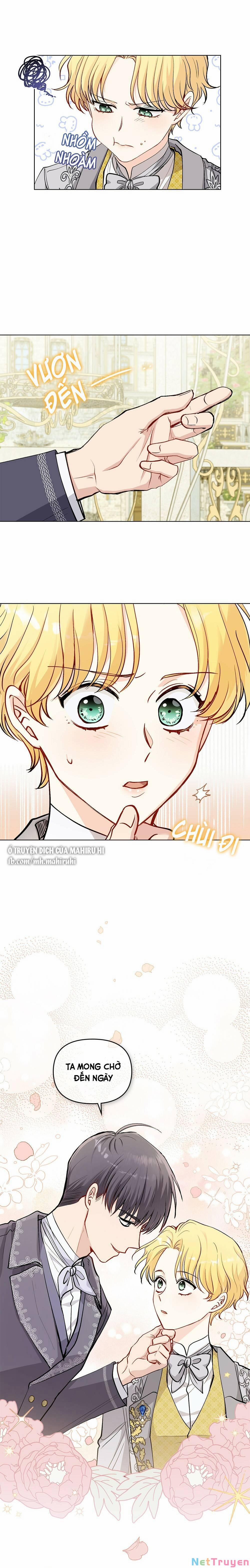 Tìm Lại Camellia 13 trang 8