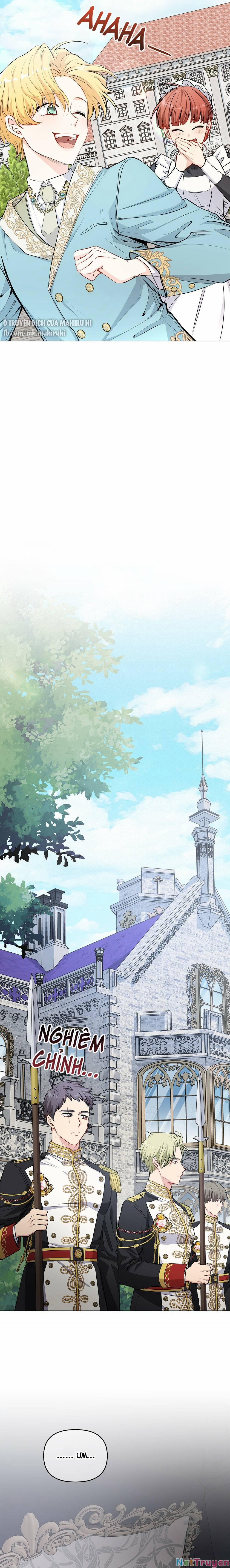 Tìm Lại Camellia 16 trang 11