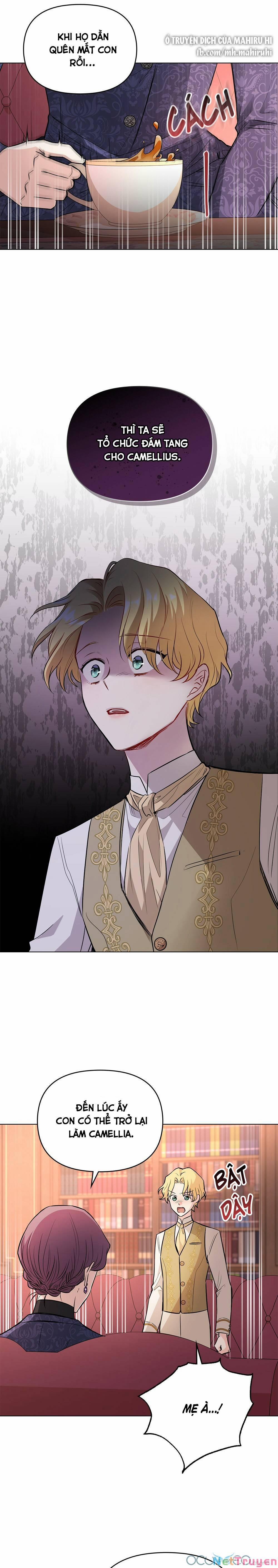 Tìm Lại Camellia 21 trang 7
