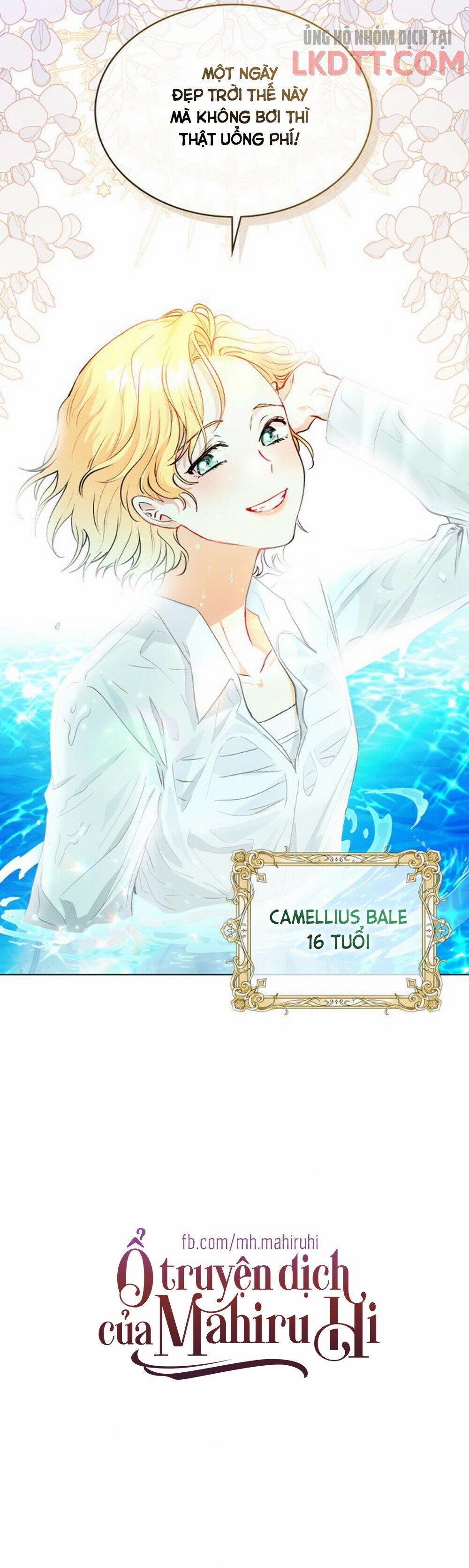 Tìm Lại Camellia 9 trang 17