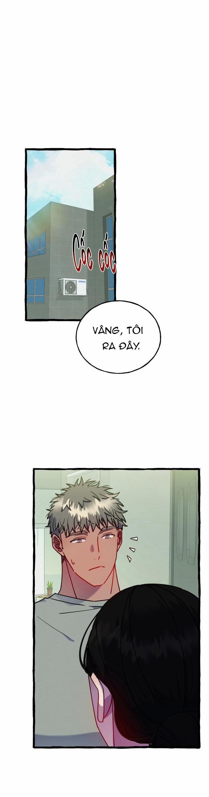 Tìm Phòng Trọ 9 trang 21