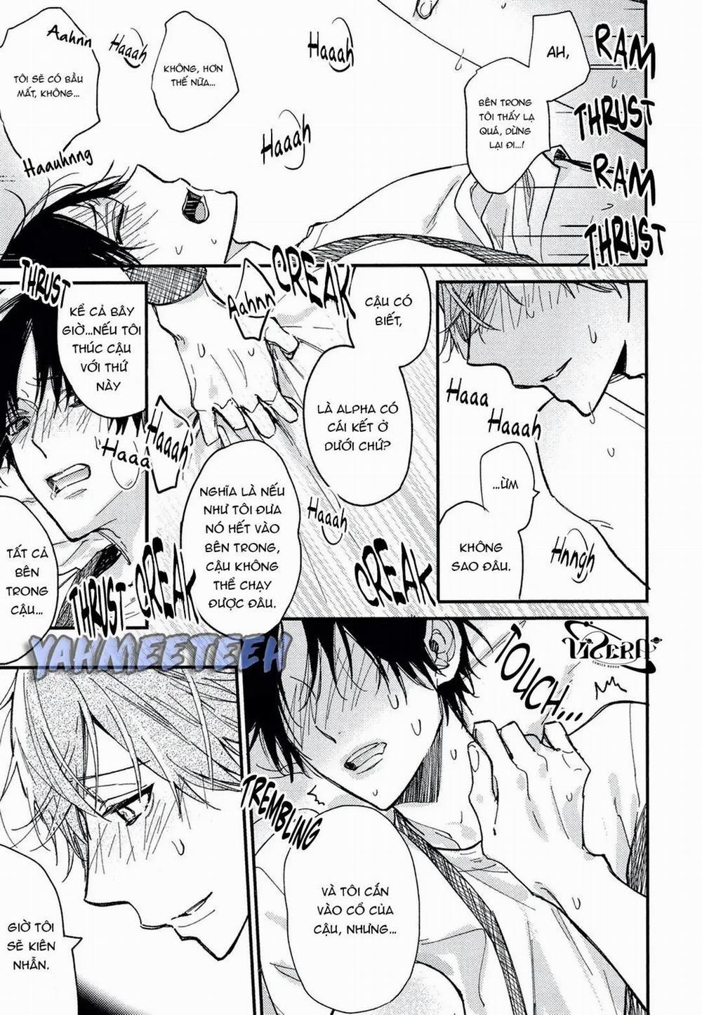 Tìm Thấy Em Rồi, Omega Của Tôii 7 trang 16