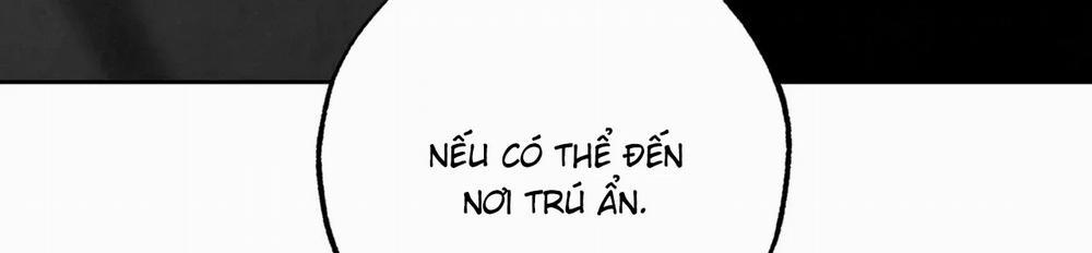 Tin Vào Tín Hiệu Của Tôi 29 trang 185