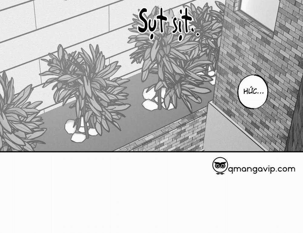 Tin Vào Tín Hiệu Của Tôi 30 trang 87