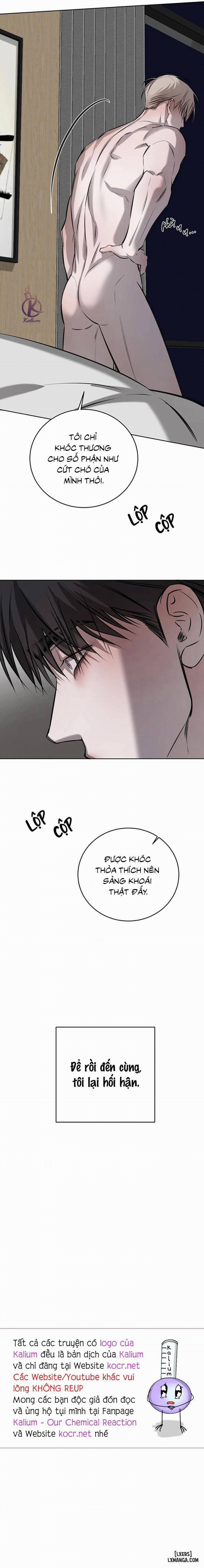 Tình Cờ Hay Định Mệnh 52 trang 16