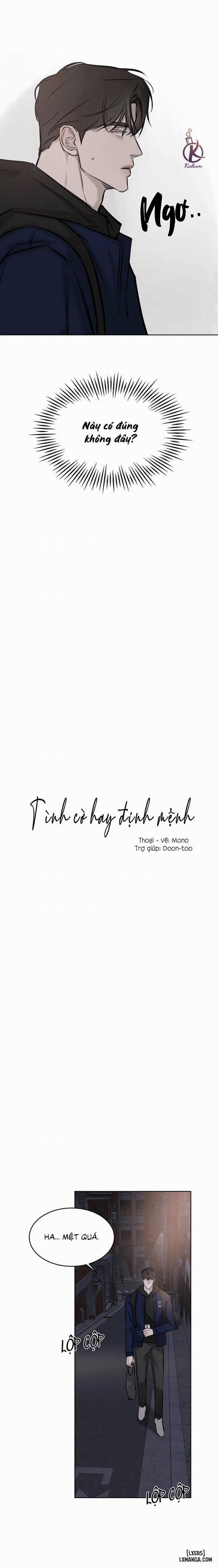 Tình Cờ Hay Định Mệnh 8 trang 12