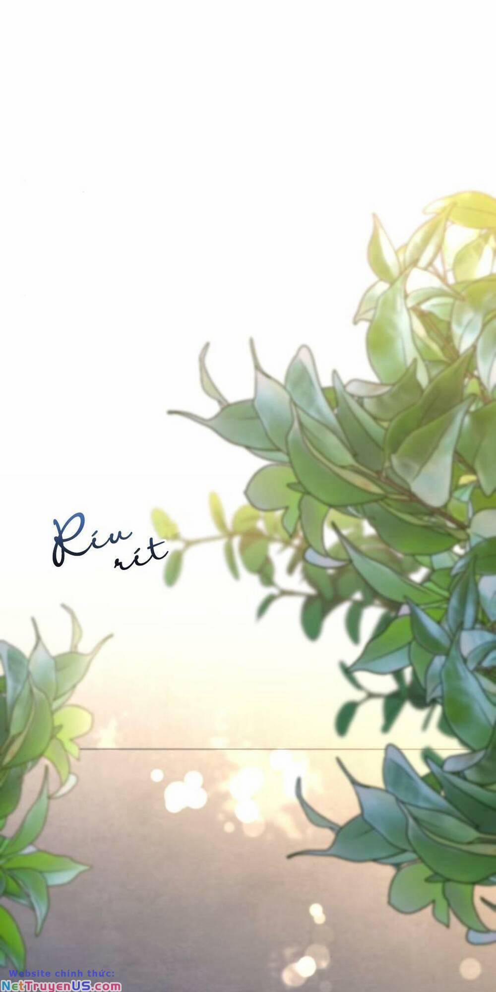 Tình Cờ Ta Gặp Nhau 28 trang 157