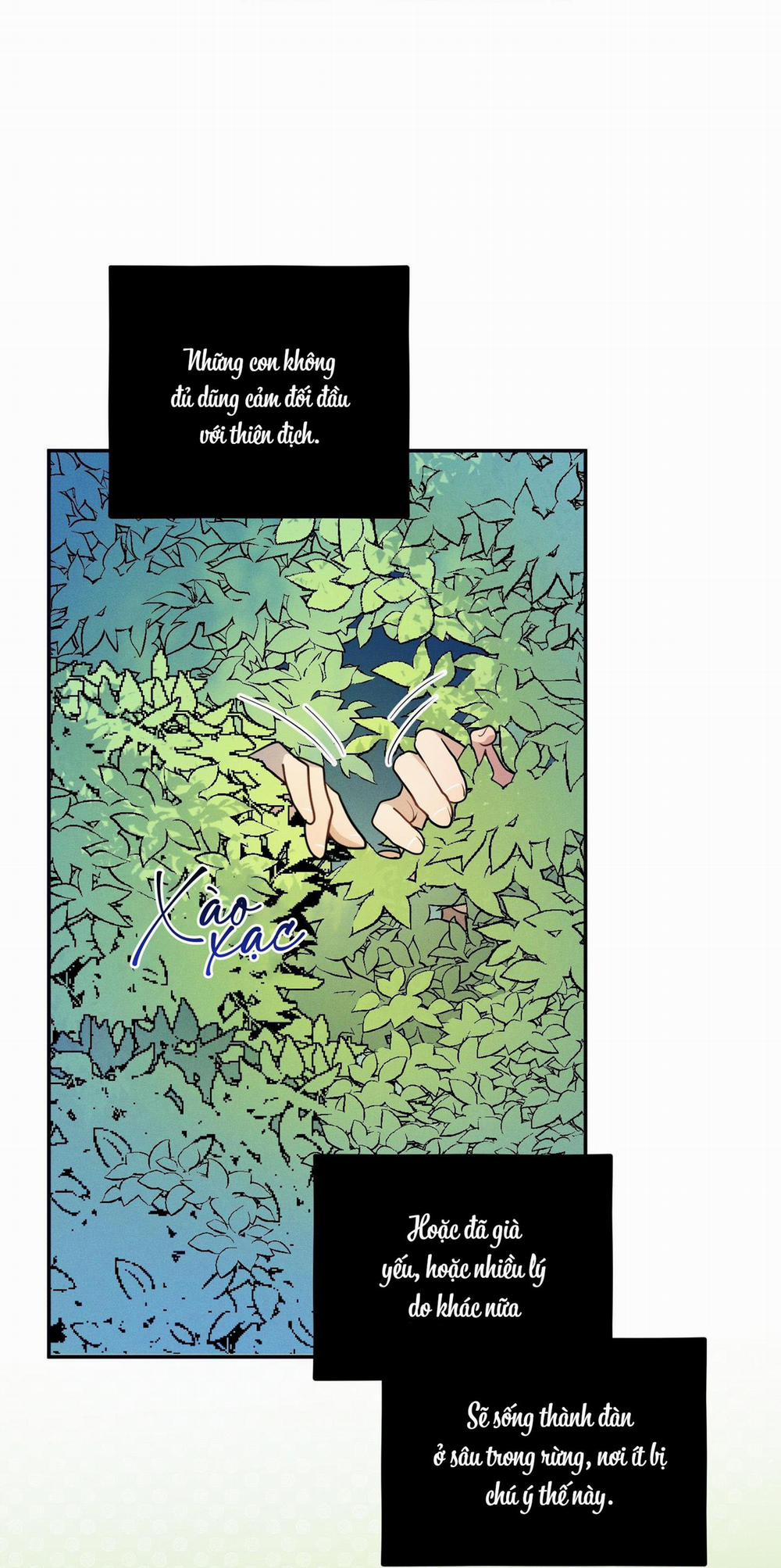 Tình Cờ Thật?! 7 Ngoại truyện 1 trang 18