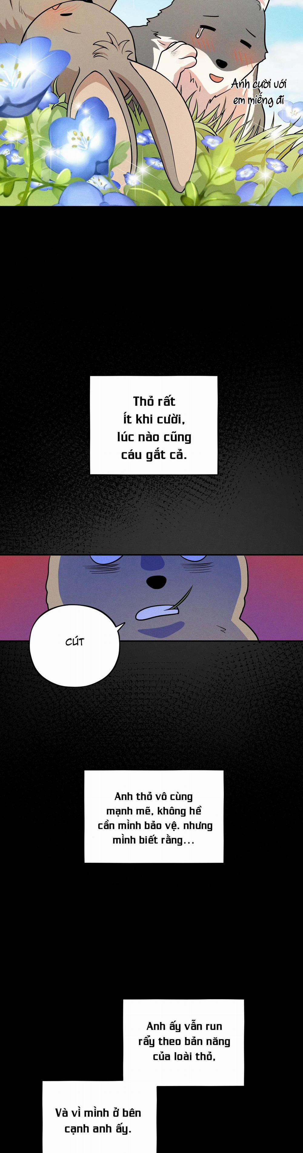 TÌNH CỜ 2 trang 12