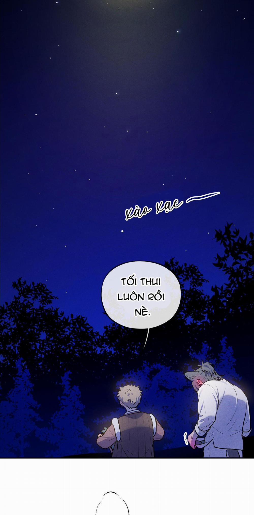 TÌNH CỜ 3 trang 29