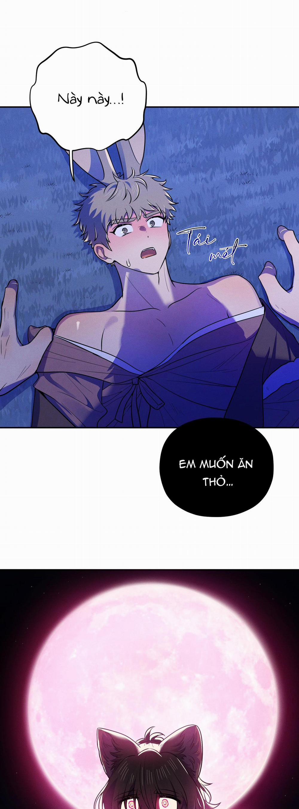 TÌNH CỜ 3 trang 41