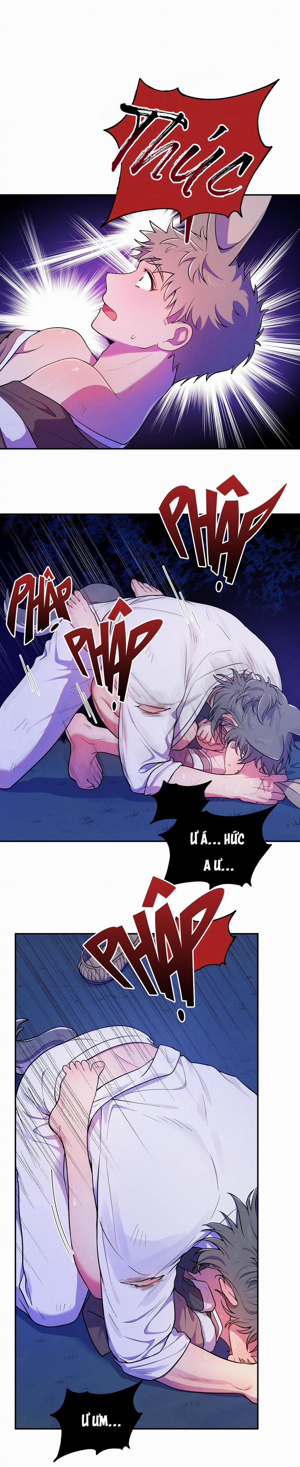 TÌNH CỜ 4 trang 11