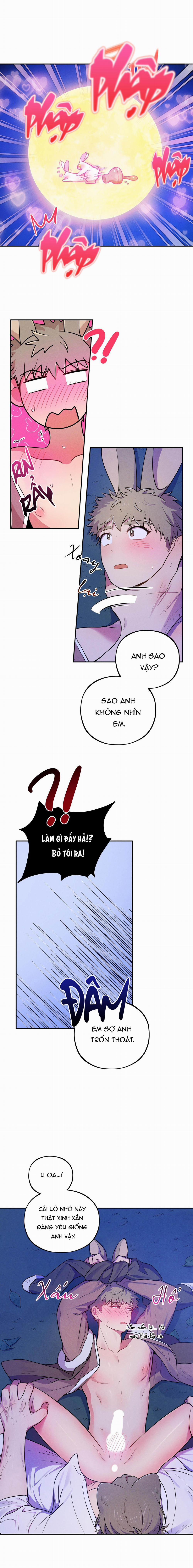 TÌNH CỜ 4 trang 6