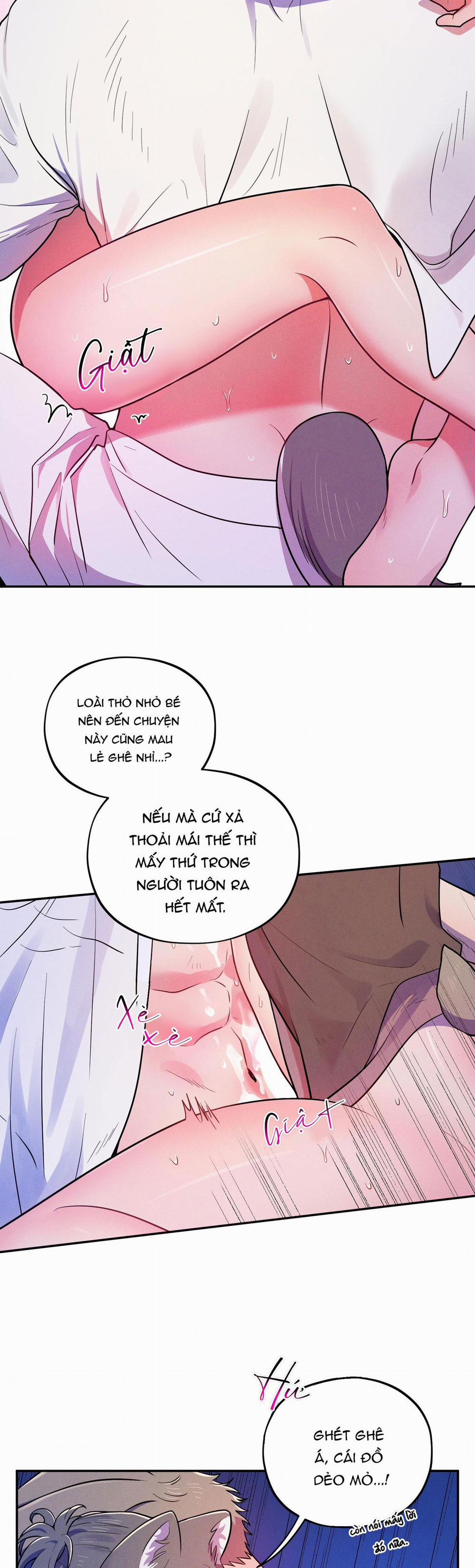 TÌNH CỜ 5 trang 17