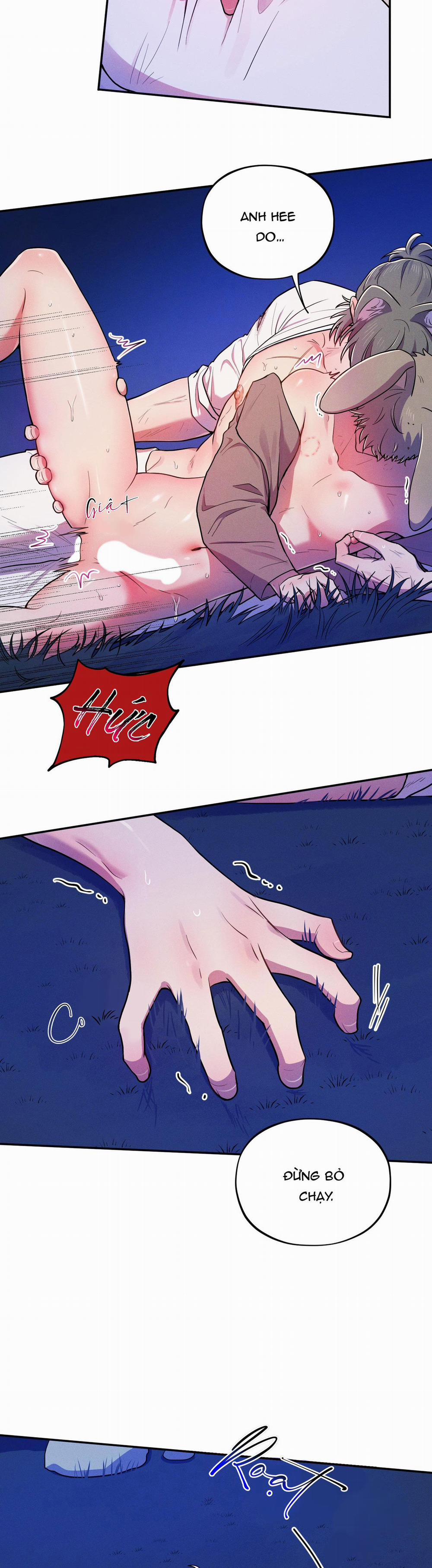 TÌNH CỜ 5 trang 2