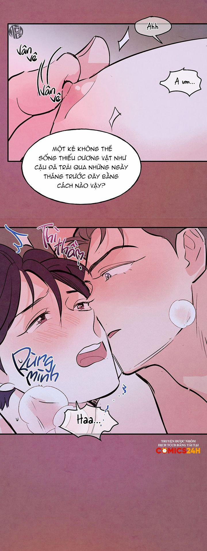 Tình Cuồng Say 28 trang 10