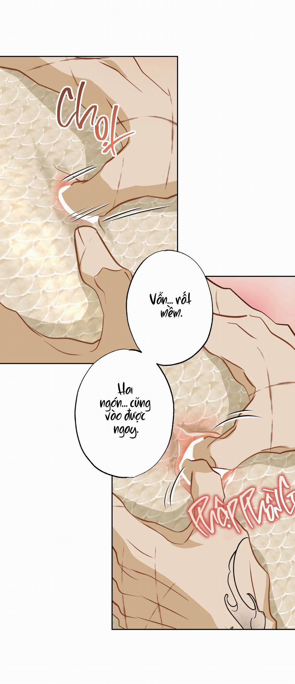 Tình đầu của chủ quán gỏi cá là nhân ngư 10 trang 29