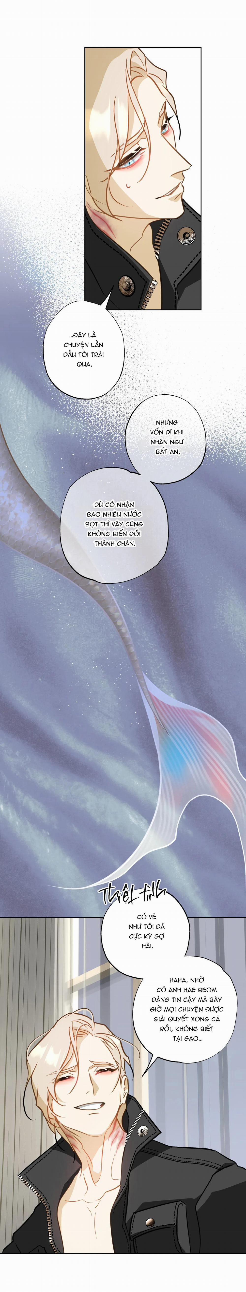 Tình đầu của chủ quán gỏi cá là nhân ngư 10 trang 8