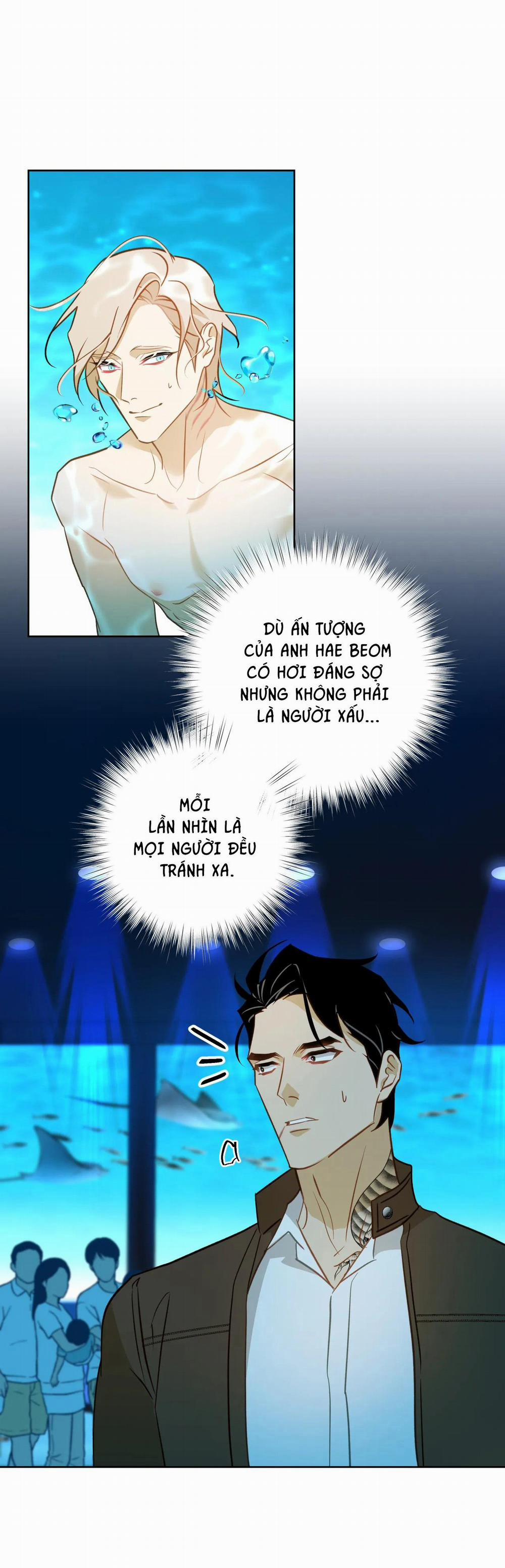 Tình đầu của chủ quán gỏi cá là nhân ngư 5 trang 10