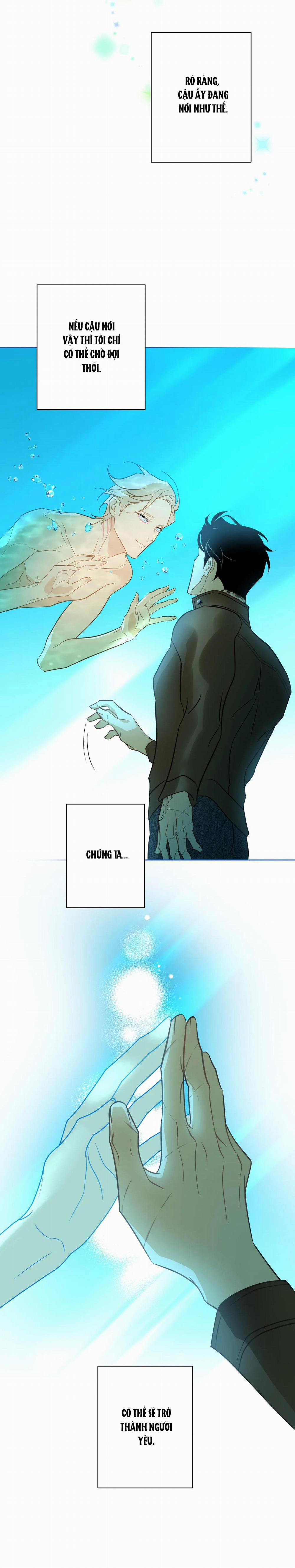 Tình đầu của chủ quán gỏi cá là nhân ngư 5 trang 21