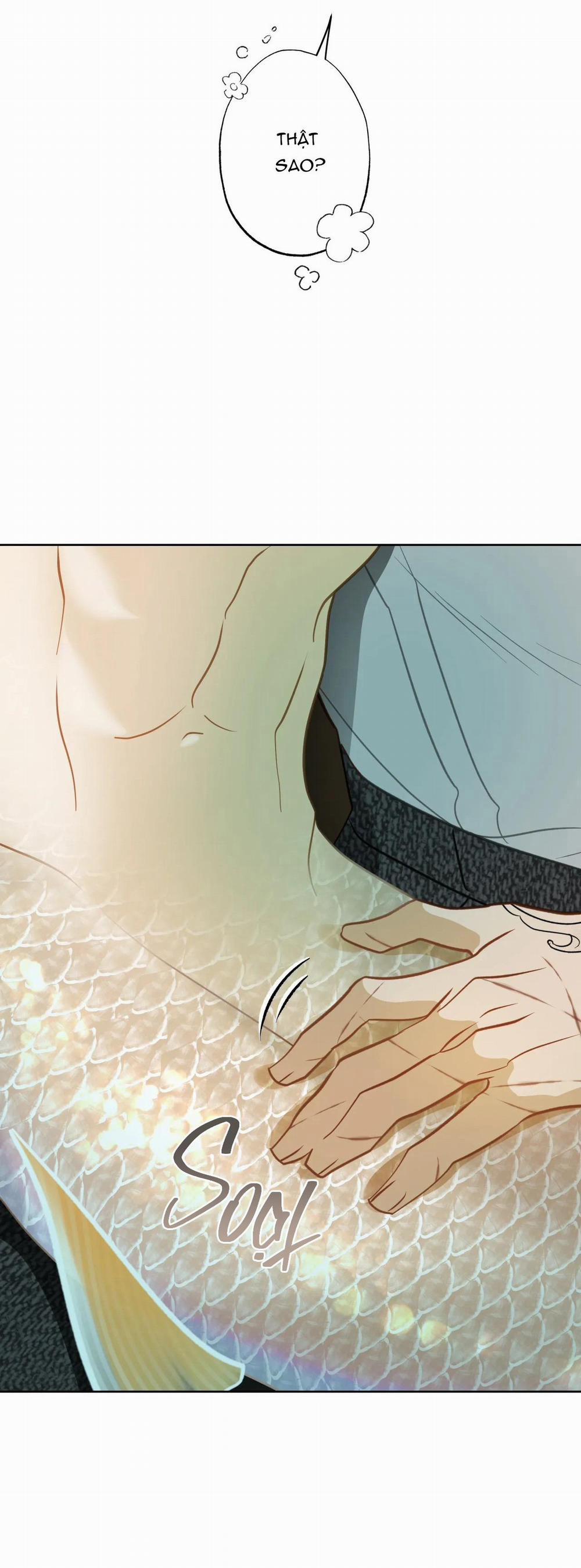 Tình đầu của chủ quán gỏi cá là nhân ngư 5 trang 38