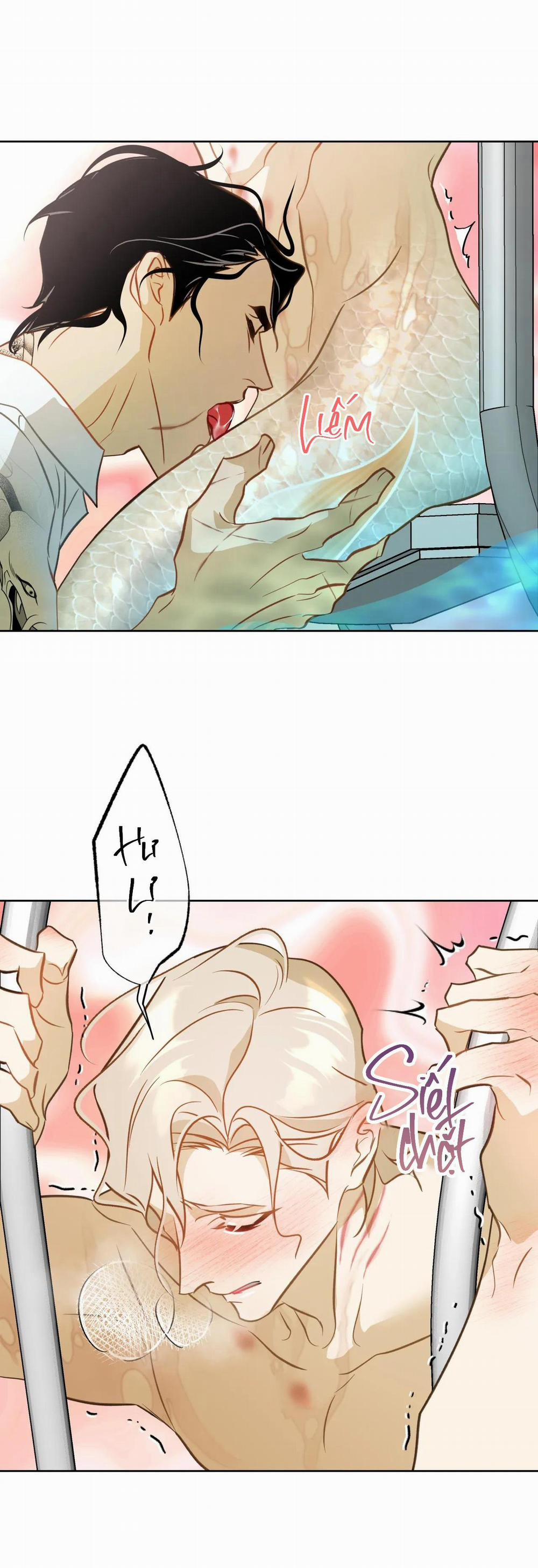 Tình đầu của chủ quán gỏi cá là nhân ngư 6 trang 2