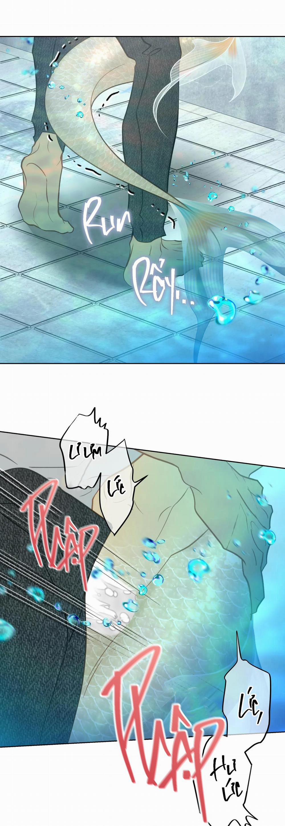 Tình đầu của chủ quán gỏi cá là nhân ngư 6 trang 40