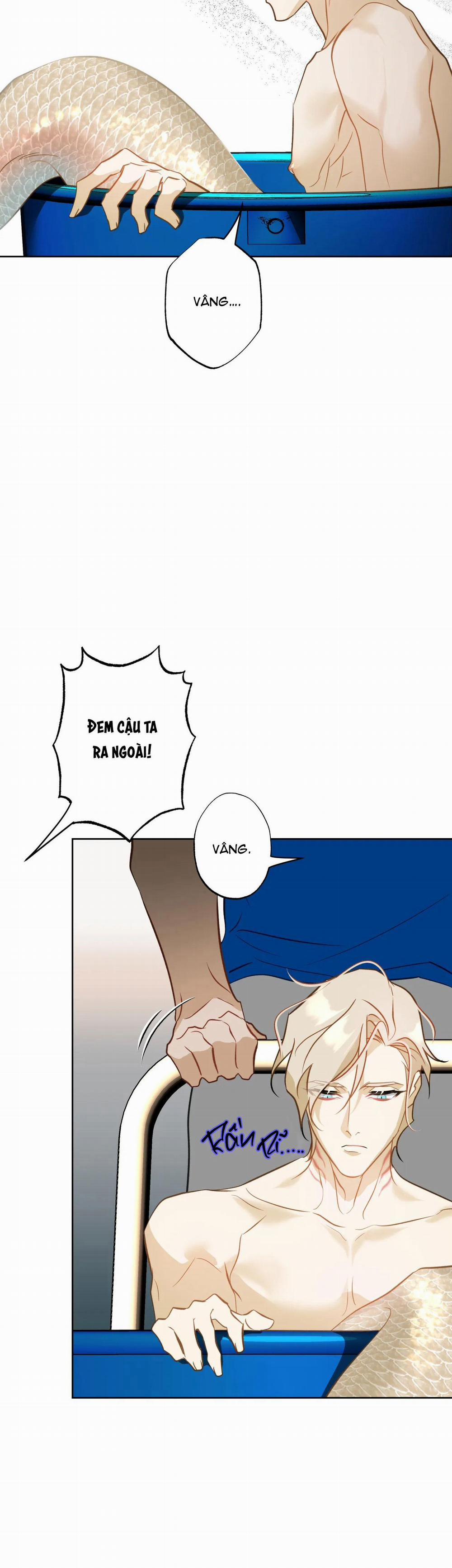 Tình đầu của chủ quán gỏi cá là nhân ngư 7 trang 29