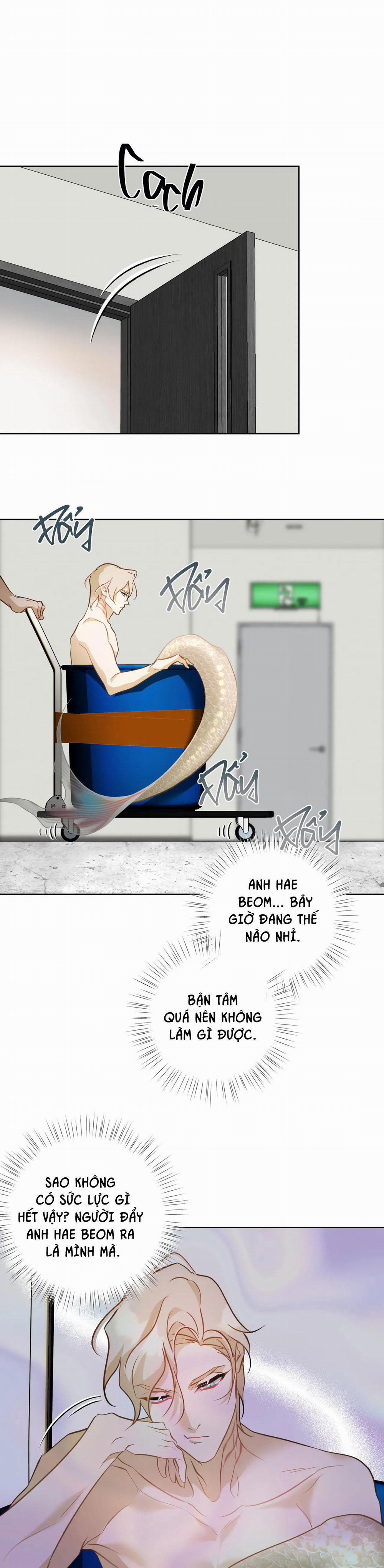 Tình đầu của chủ quán gỏi cá là nhân ngư 7 trang 30