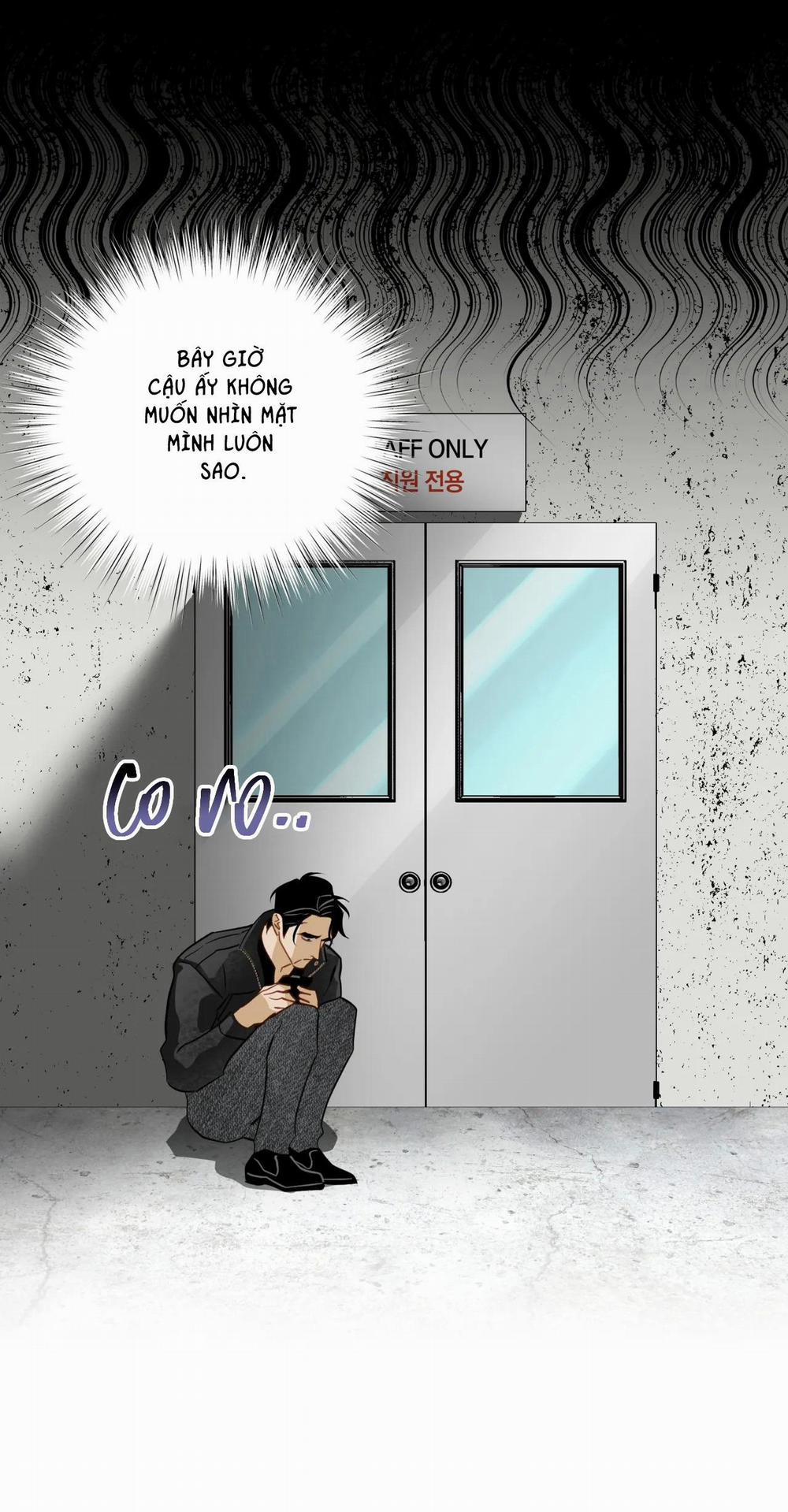 Tình đầu của chủ quán gỏi cá là nhân ngư 8 trang 12