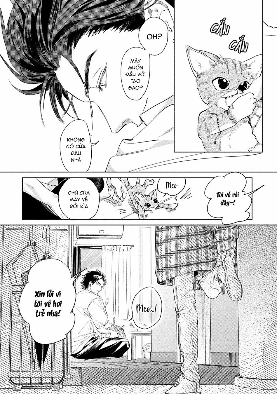 Tình Đầu Điên Dại 3 trang 3