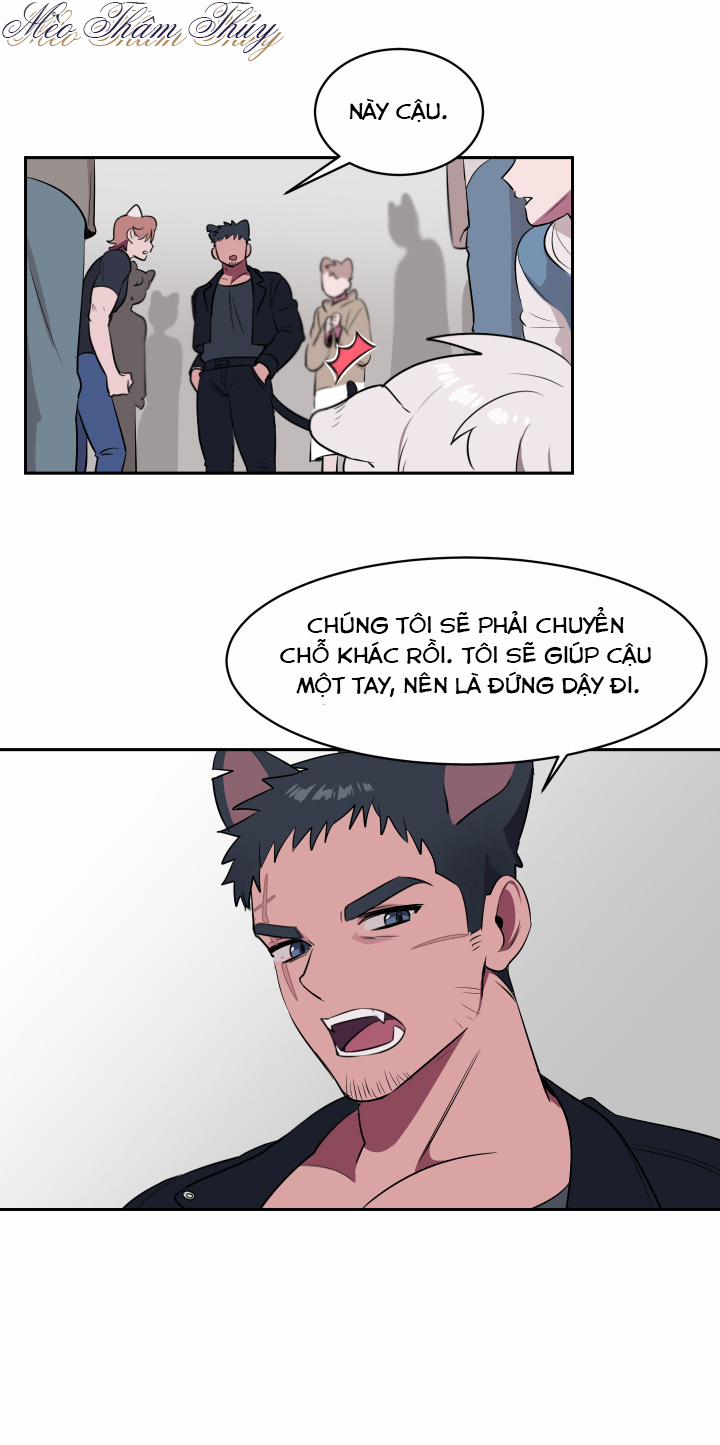 Tình Đầu 1 trang 18