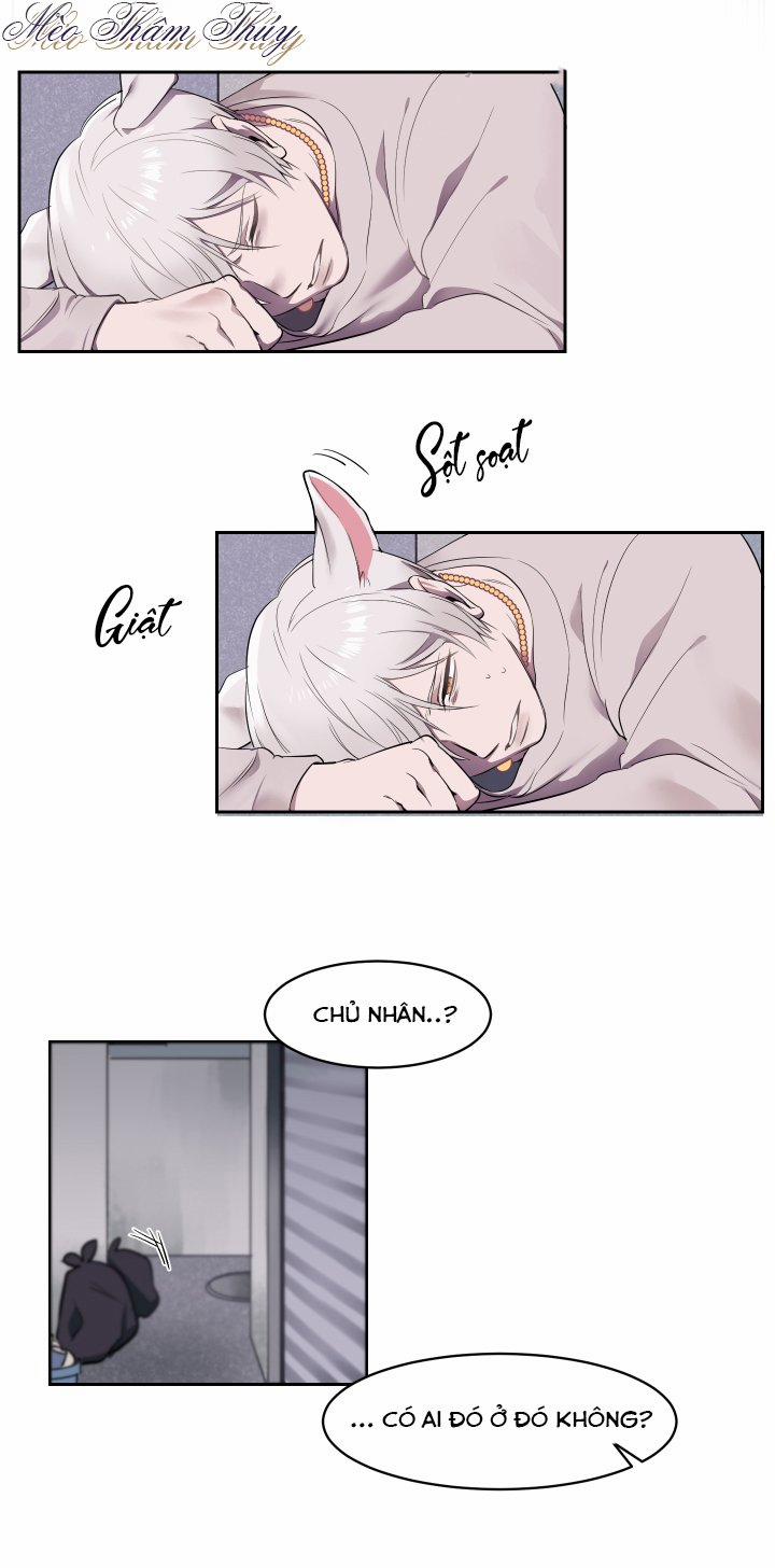 Tình Đầu 1 trang 3