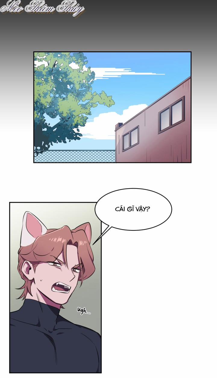 Tình Đầu 1 trang 6