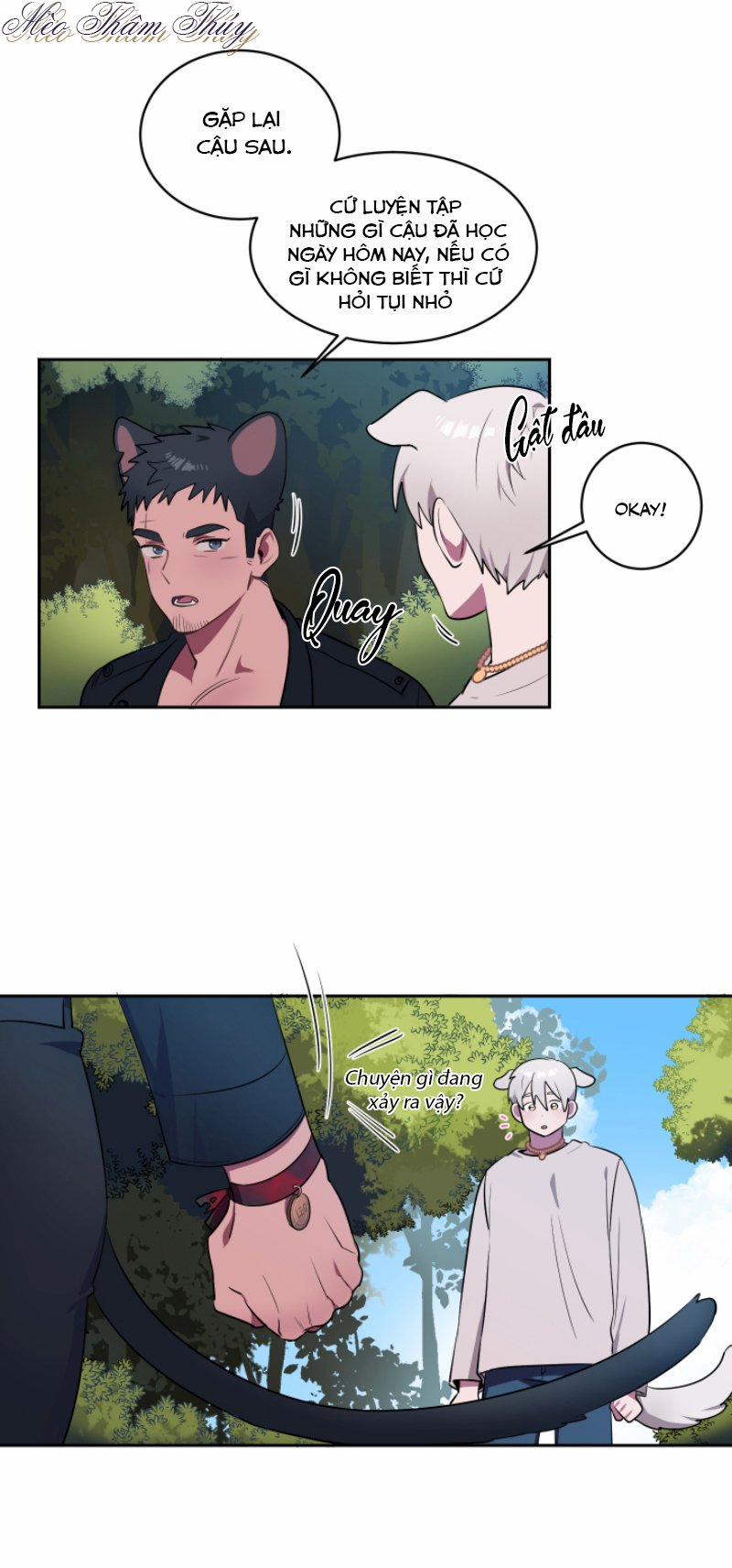 Tình Đầu 2 trang 11