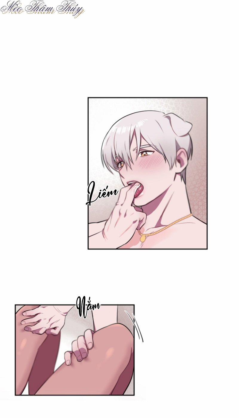 Tình Đầu 3 trang 17