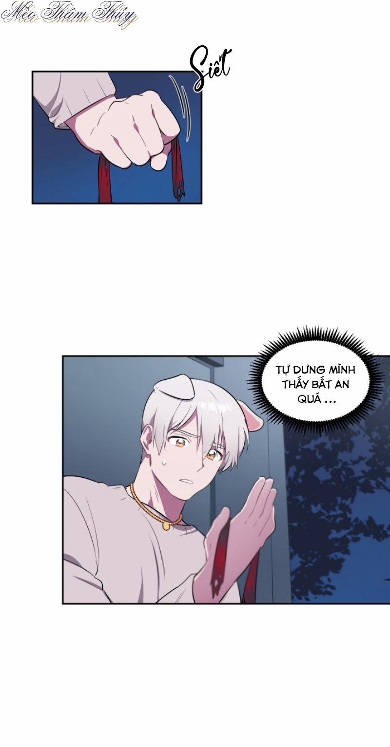 Tình Đầu 4 trang 21