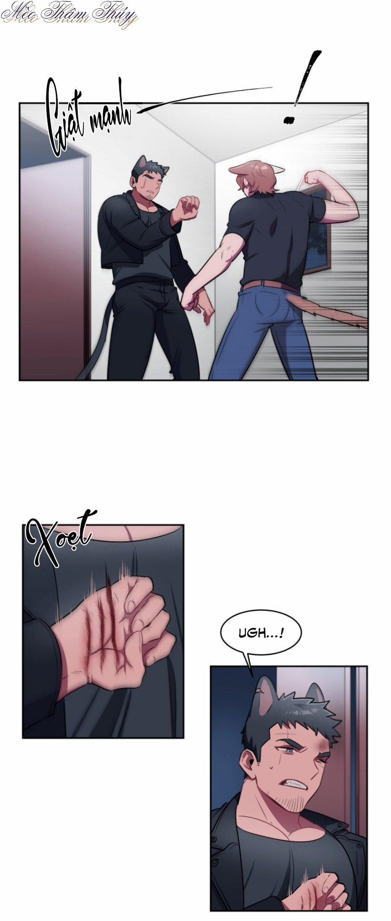 Tình Đầu 5 trang 3