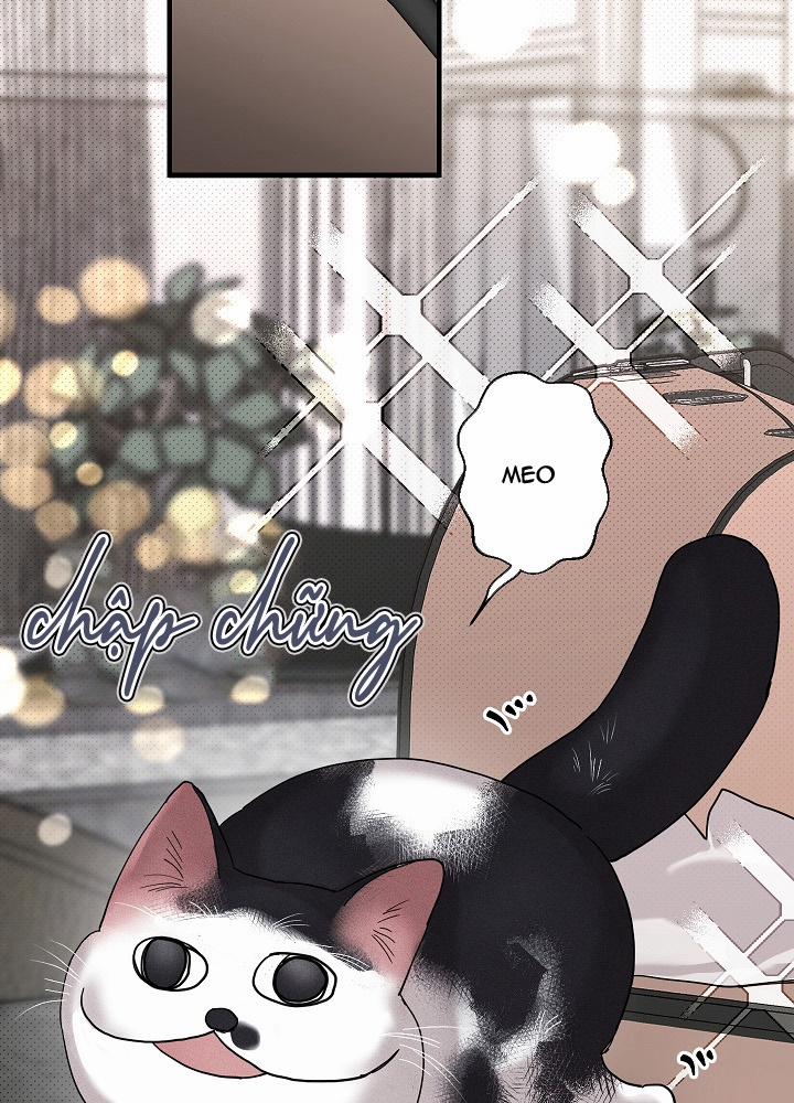 Tình Đơn Phương 13 trang 49