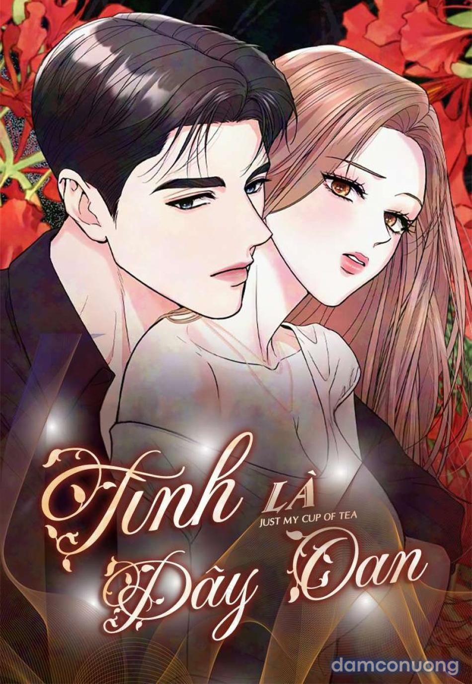 Tình Là Dây Oan 2 trang 0