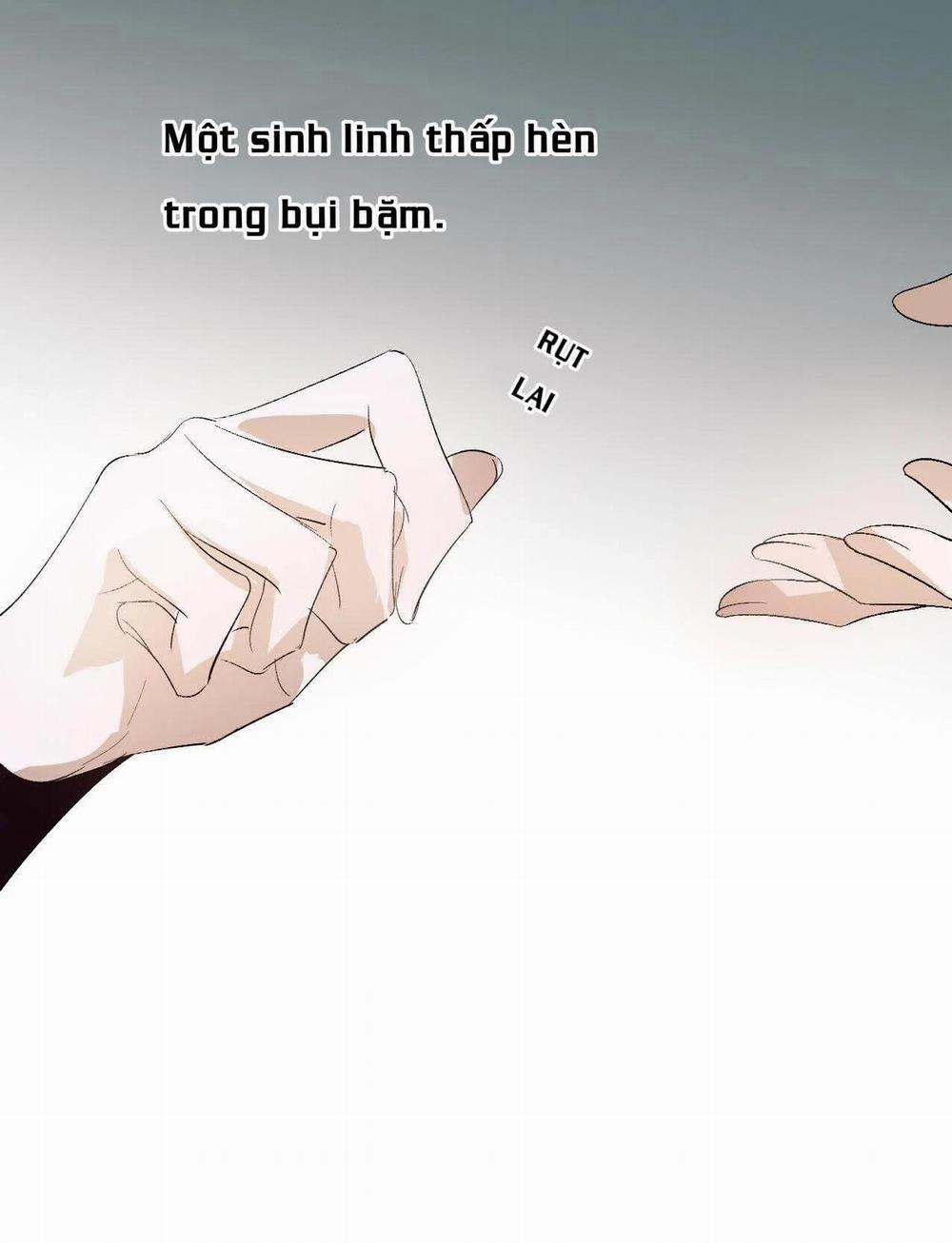 Tình Lang 21 trang 29