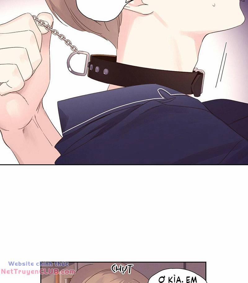 Tình Nhân 4 Tuần 72 trang 4