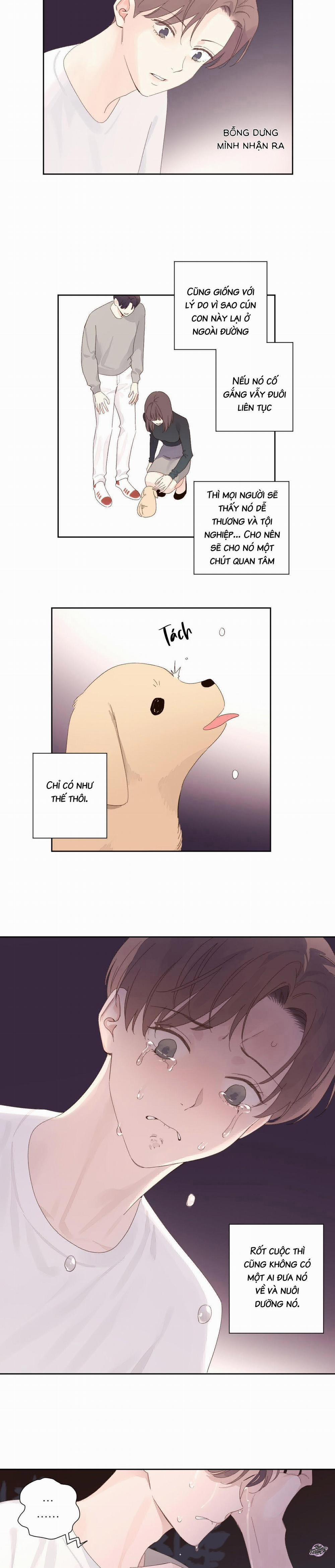 Tình Nhân 4 Tuần 84 trang 10