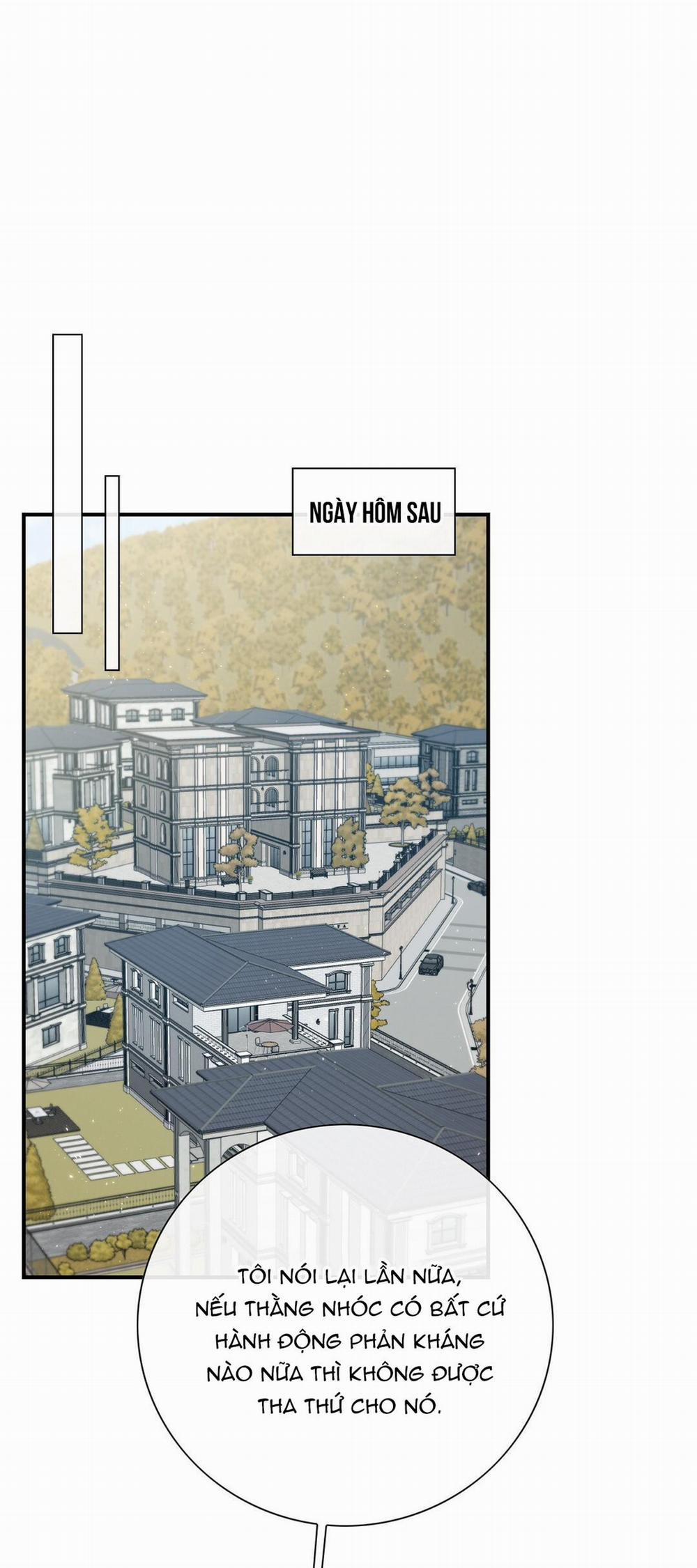 TÌNH THẾ TIẾN THOÁI LƯỠNG NAN CỦA SẾP 11 trang 36