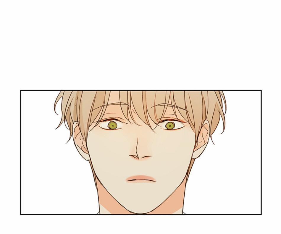 TÌNH TRONG ÁNH MẮT 4 trang 46