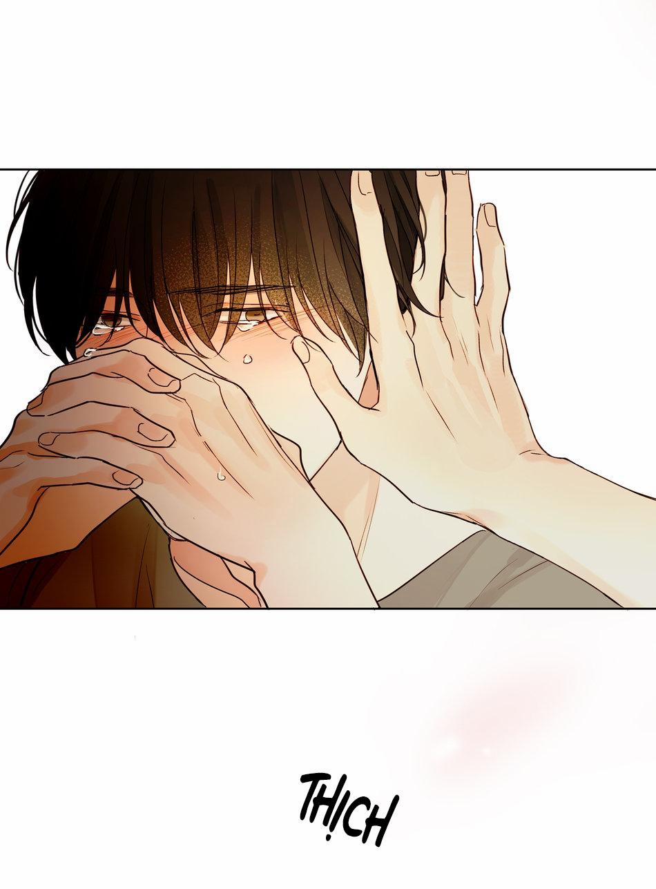 TÌNH TRONG ÁNH MẮT 5 trang 26